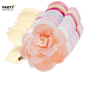 Rose Garden Plates Assorted Colours 24x18cm (8)