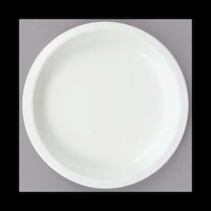 White Paper Plates 9inch (24)