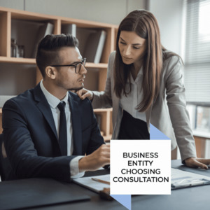 Business Entity Choosing Consultation (20 mins)