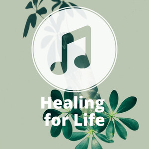 Healing For Life MP3 Pascha