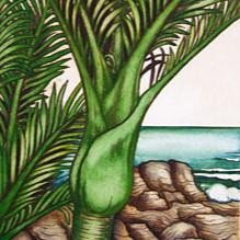 Products: Punakaiki Mary Taylor