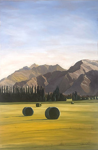 Products: Hay Bales - Hawea Flats Greg Chichester