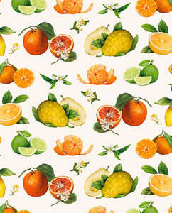 New Releases: Wrap - Citrus Fruits