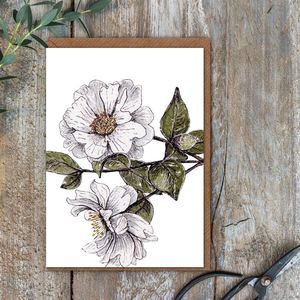 New Releases: Card - White Camelia