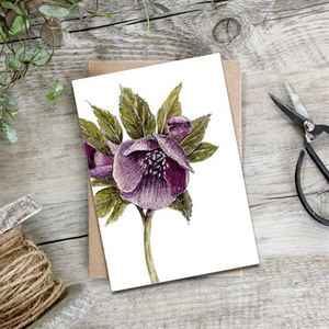 Card - Mauve Hellebore