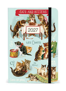 Diary - Cats