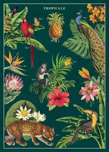 Posters: Poster - Tropicale