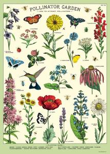 Posters: Poster - Pollinator Garden