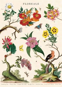 Poster - Floreale