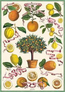 Poster - Orangerie