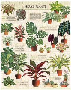 Jigsaw Puzzles: Jigsaw Puzzle - House Plants