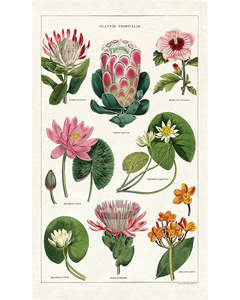 Tea Towels: C - Tea Towel - Tropical Plants