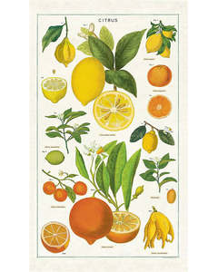 C - Tea Towel - Citrus