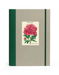 C - Window Notebook - Botany