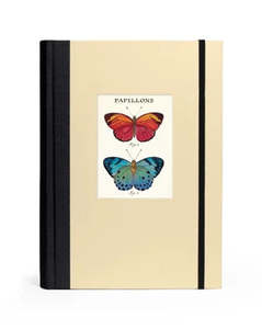 C - Window Notebook - Butterflies