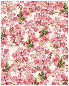 New Releases: Wrap - Peach Blossom
