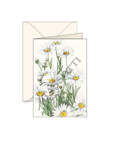 Greeting Cards: Card T - Daisies