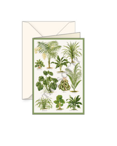 Greeting Cards: Card T - Tropical Plants