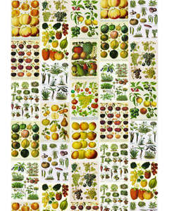 Instituto Fotocromo Italiano: Poster - Frutta e Verdura