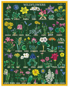 Gift Ideas: Jigsaw Puzzle - Wildflowers 2