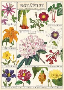 Poster - The Botanist