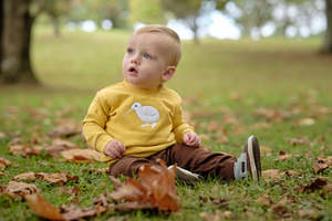 Organic Cotton Jumpers Vests: Organic Cotton Mustard Kiwi Fleece Jumper