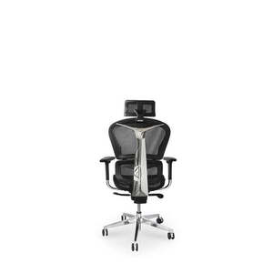 Occasional: Avanti Office Chair - All Day Comfort