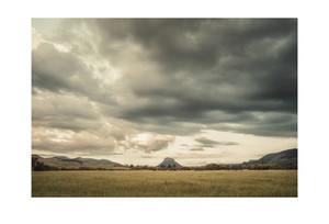 Products: Pohaturoa Paul C Smith