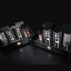 Products: Allnic Audio M-2500 Vacuum Tube Mono Block Power Amplifiers (pair) Paulmoney Hifi