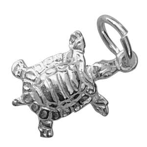 Silver Turtle Charm