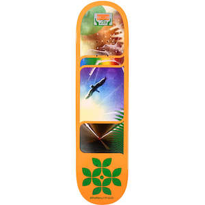 Alien Workshop: ALIEN WORKSHOP PHOTOSYNTHESIS DECK 8.25"