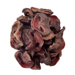 Pork: Pork Snout