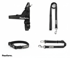 Individual: Pet Accessories: Signature Dog Collar - Secure & Stylish