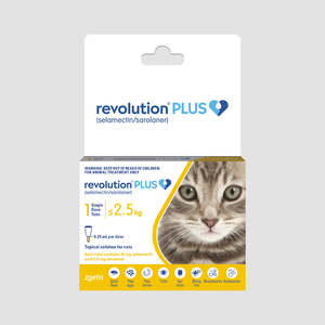 Grooming 1: Revolution Plus Flea Tick & Worm Treatment For Cat