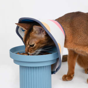 Grooming 1: HiDream Cat & Dog Soft Adjustable Recovery Cone