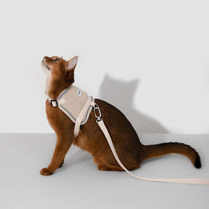 Travel Outdoor 1: HiDream Vest-Style Cat Harness and Leash Set