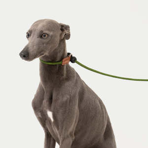Hidream: HiDream Leather Handle Slip Lead