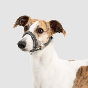 Hidream: HiDream Dog Head Collar