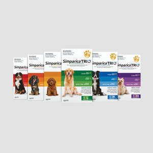 Dog: ST Flea Tick & Worm Treatment For Dog