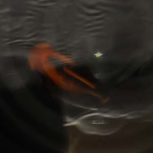 Red and Black Blackmoore Goldfish (Large)