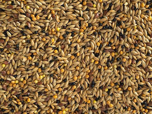 Birds: Topflite Canary Seed 1kg