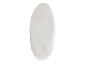 Birds: Premium Cuttlefish Bone