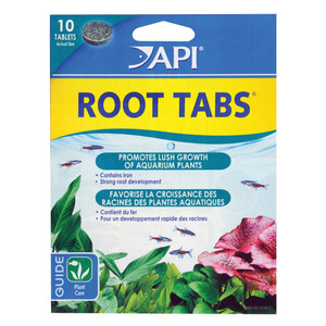 API Root Tabs 10-Pack