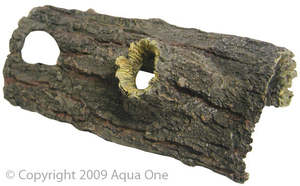 Reptile one Log with two holes