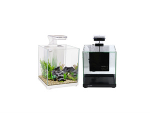 Aqua One Betta Sanctuary 10L