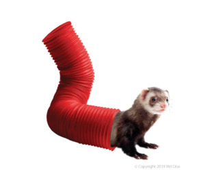 Small Animal Toys: Pet One Critter Tunnel