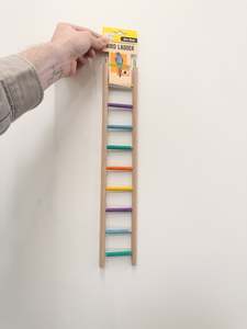 Avi One Bird Ladder