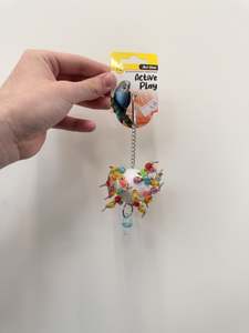 Birds: Avi one Active Play