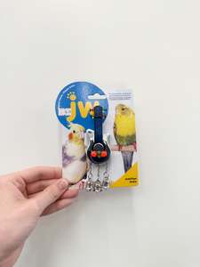 Birds: Activi Toys Guitar