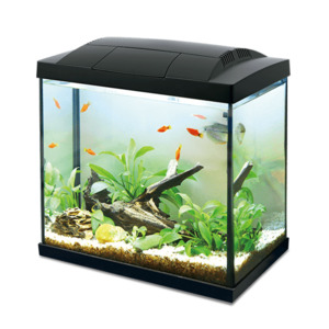 Fish: Hailea K60 LED Aquarium 60L